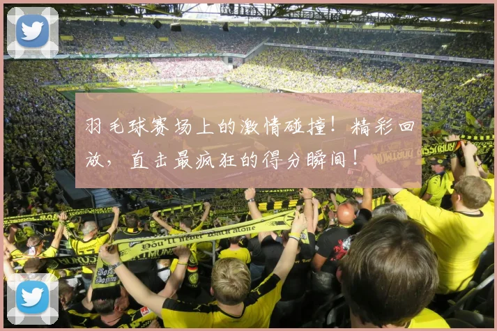 羽毛球赛场上的激情碰撞！精彩回放，直击最疯狂的得分瞬间！