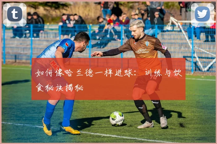 如何像哈兰德一样进球：训练与饮食秘诀揭秘