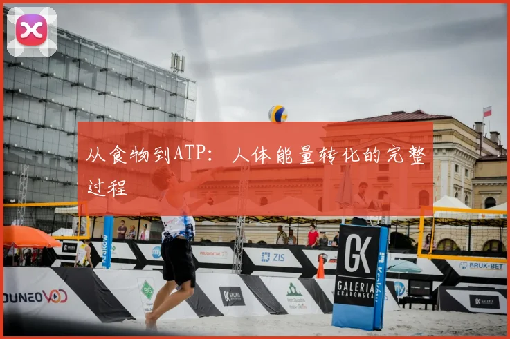 从食物到ATP：人体能量转化的完整过程