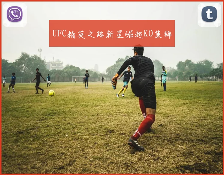 UFC精英之路新星崛起KO集锦