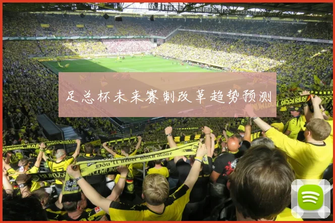 足总杯未来赛制改革趋势预测